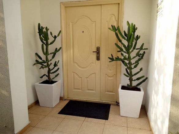 For Your Home Garden Horticultural Services. Call: 2347025422201  Or Peter 2348188876528  Email: bummyla@gmail.com https://www.bummyla.com 