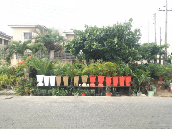 Call: 2347025422201 Or Peter 2348188876528 Email: bummyla@gmail.com https://www.bummyla.com