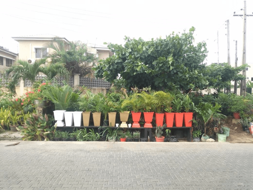 Call: 2347025422201 Or Peter 2348188876528 Email: bummyla@gmail.com https://www.bummyla.com