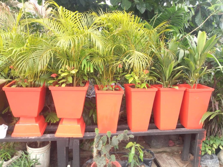 Call: 2347025422201 Or Peter 2348188876528 Email: bummyla@gmail.com https://www.bummyla.com