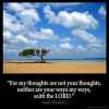 Isaiah_55-8: For my thoughts are not your thoughts, neither are your ways my ways, saith the LORD