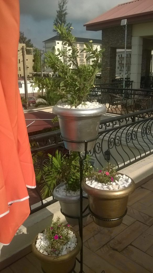 For Your Home Garden Horticultural Services. Call: 2347025422201  Or Peter 2348188876528  Email: bummyla@gmail.com https://www.bummyla.com 