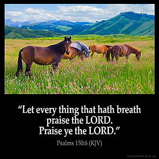 Psalms_150-6
