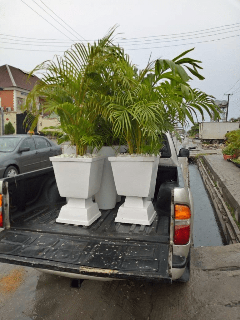 Call For Your Horticulturist: Call: 2347025422201 Or Peter 2348188876528 Email: bummyla@gmail.com https://www.bummyla.com