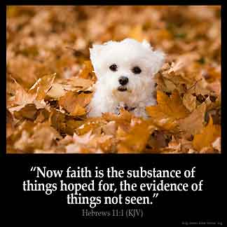 Hebrews_11-1: Now faith is the substance of things hoped for, the evidence of things not seen
