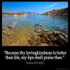 Psalms_63-3: Because thy lovingkindness is better than life, my lips shall praise thee.