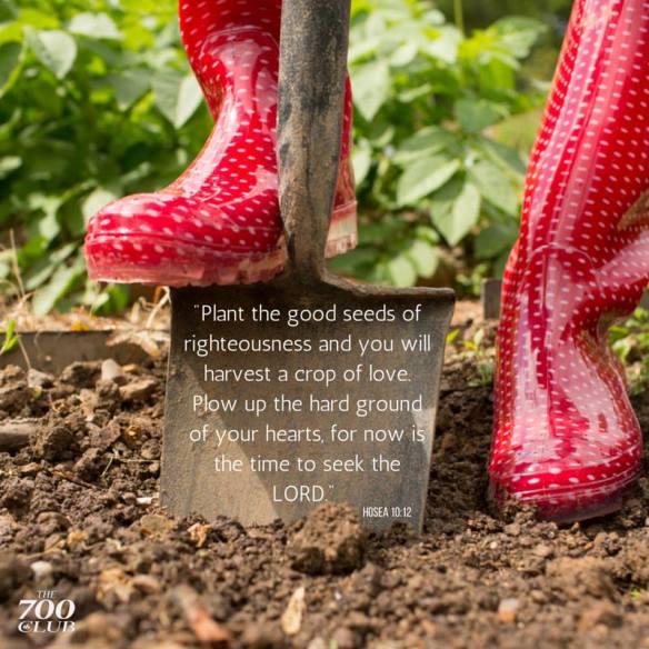 12573911_10153815803656668_6486382818753993881_n