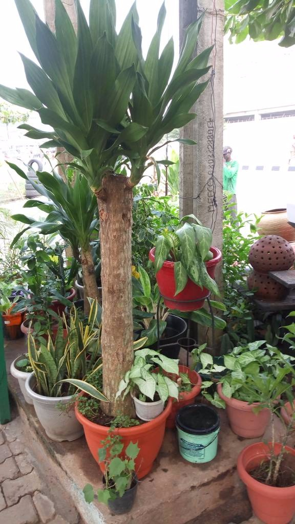 Call: 2347025422201 Or Peter 2348188876528 Email: bummyla@gmail.com https://www.bummyla.com