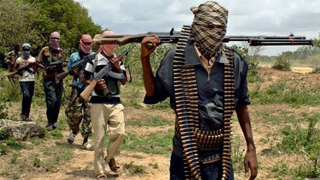 U.N. appeals for $174M for victims of Boko Haram militant group