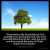2-Timothy_2-19: Nevertheless the foundation of God standeth sure, having this seal, The Lord knoweth them that are his. And, Let every one that nameth the name of Christ depart from iniquity