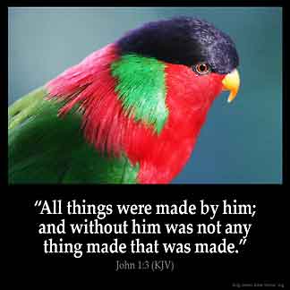 John_1-3: All things were made by him; and without him was not any thing made that was made.