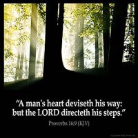 Proverbs_16-9: A man's heart deviseth his way: but the LORD directeth his steps