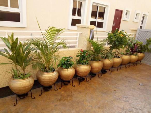 For Your Home Garden Horticultural Services. Call: 2347025422201  Or Peter 2348188876528  Email: bummyla@gmail.com https://www.bummyla.com 