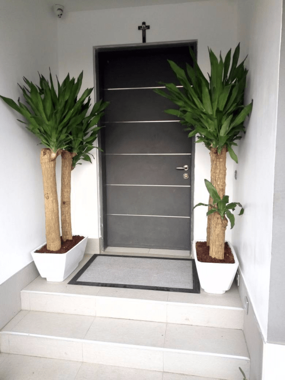 For Your Landscaping And Horticulture In Lekki Phase 1, Lagos, Lagos State Nigeria: Call: 2347025422201  Or Peter 2348188876528  Email: bummyla@gmail.com https://www.bummyla.com