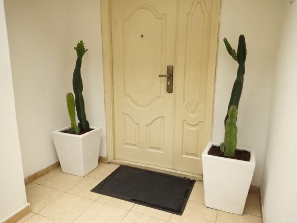 For Your Home Garden Horticultural Services. Call: 2347025422201  Or Peter 2348188876528  Email: bummyla@gmail.com https://www.bummyla.com 