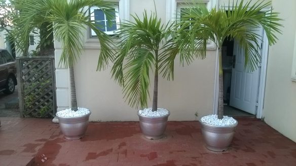 For Your Home Garden Horticultural Services. Call: 2347025422201  Or Peter 2348188876528  Email: bummyla@gmail.com https://www.bummyla.com 