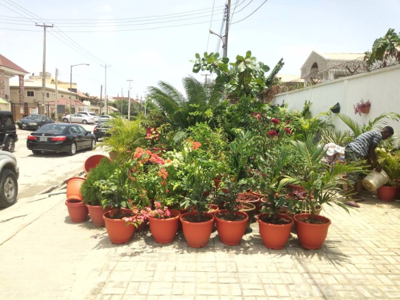 For Your Lekki Garden Maintenance Services. Call: 2347025422201  Or Peter 2348188876528  Email: bummyla@gmail.com https://www.bummyla.com 