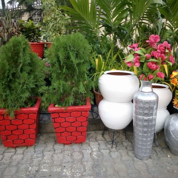 For Your Home Garden Horticultural Services. Call: 2347025422201  Or Peter 2348188876528  Email: bummyla@gmail.com https://www.bummyla.com 