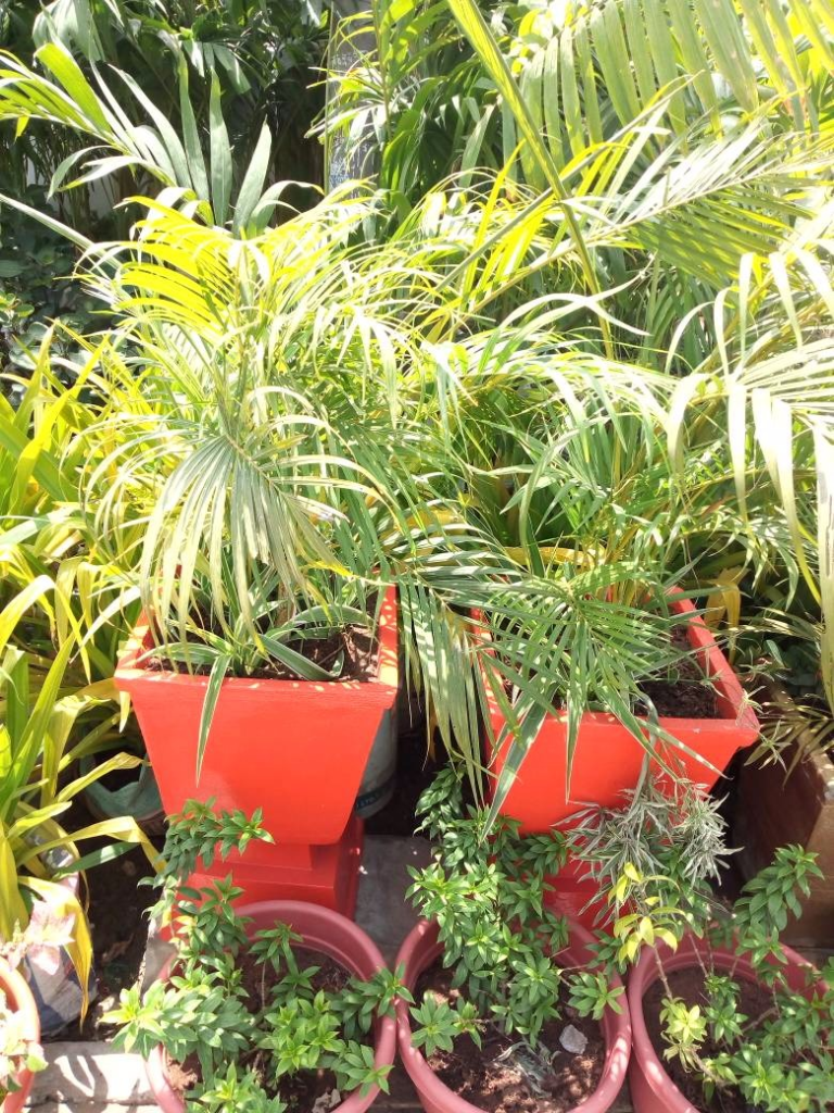 Call: 2347025422201 Or Peter 2348188876528 https://www.bummyla.com