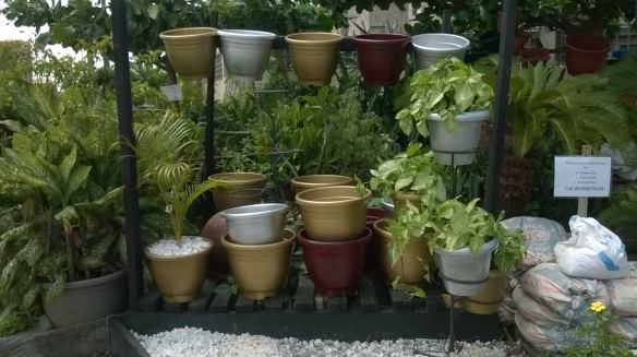 For Your Home Garden Horticultural Services. Call: 2347025422201  Or Peter 2348188876528  Email: bummyla@gmail.com https://www.bummyla.com 