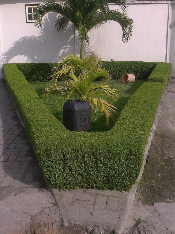 For Your Horticulture Services Call: 2347025422201  Or Peter 2348188876528  Email: bummyla@gmail.com https://www.bummyla.com 