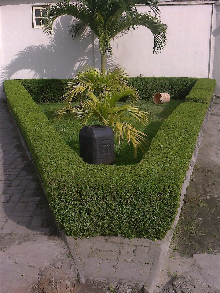 For Your Horticulture Services Call: 2347025422201 Or Peter 2348188876528 Email: bummyla@gmail.com https://www.bummyla.com