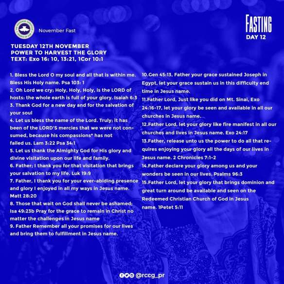 FB_IMG_1573526416460