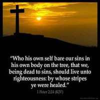 1-Peter_2-24: Who his own self bare our sins in his own body on the tree, that we, being dead to sins, should live unto righteousness: by whose stripes ye were healed