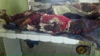 Graphic Photos From Scene Of Boko Hara Bomb Blast. These terrorists need to be stopped