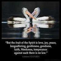 Galatians_5-22-1: But the fruit of the Spirit is love, joy, peace, longsuffering, gentleness, goodness, faith