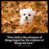 Hebrews_11-1: Now faith is the substance of things hoped for, the evidence of things not seen