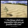 Luke_18-27: And he said, The things which are impossible with men are possible with God
