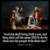 Matthew_1-21-1: And she shall bring forth a son, and thou shalt call his name JESUS: for he shall save his people from their sins