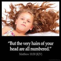 Matthew_10-30: But the very hairs of your head are all numbered.
