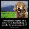 Matthew_7-15: Beware of false prophets, which come to you in sheep's clothing, but inwardly they are ravening wolves