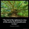 Proverbs_11-30: The fruit of the righteous is a tree of life; and he that winneth souls is wise