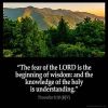 Proverbs_9-10-2: The fear of the LORD is the beginning of wisdom: and the knowledge of the holy is understanding