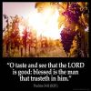 Psalms_34-8: O taste and see that the LORD is good: blessed is the man that trusteth in him.