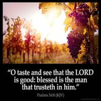 Psalms_34-8: O taste and see that the LORD is good: blessed is the man that trusteth in him.