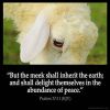 Psalms_37-11: But the meek shall inherit the earth; and shall delight themselves in the abundance of peace