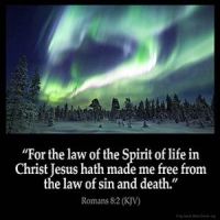 Romans_8-2: For the law of the Spirit of life in Christ Jesus hath made me free from the law of sin and death.