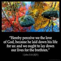 1-John_3-16-2: Hereby perceive we the love of God, because he laid down his life for us: and we ought to lay down our lives for the brethren.