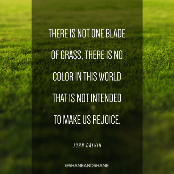 12376416_10153636468509130_4195505134290685080_n