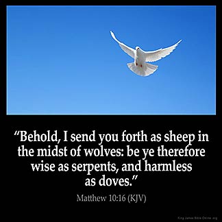 Matthew_10-16: Behold, I send you forth as sheep in the midst of wolves: be ye therefore wise as serpents, and harmless as doves
