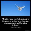 Matthew_10-16: Behold, I send you forth as sheep in the midst of wolves: be ye therefore wise as serpents, and harmless as doves