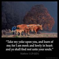 Matthew_11-29: Take my yoke upon you, and learn of me; for I am meek and lowly in heart: and ye shall find rest unto your souls.