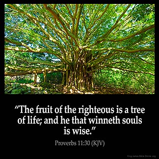 Proverbs_11-30: The fruit of the righteous is a tree of life; and he that winneth souls is wise