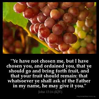 John_15-16: Ye have not chosen me, but I have chosen you, and ordained you, that ye should go and bring forth fruit, and that your fruit should remain: that whatsoever ye shall ask of the Father in my name, he may give it you