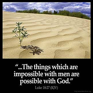 Luke_18-27: And he said, The things which are impossible with men are possible with God