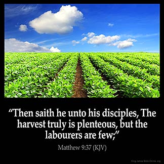Matthew_9-37: Then saith he unto his disciples, The harvest truly is plenteous, but the labourers are few